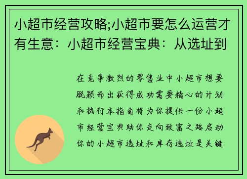 小超市经营攻略;小超市要怎么运营才有生意:小超市经营宝典:从选址到管理的致富之路